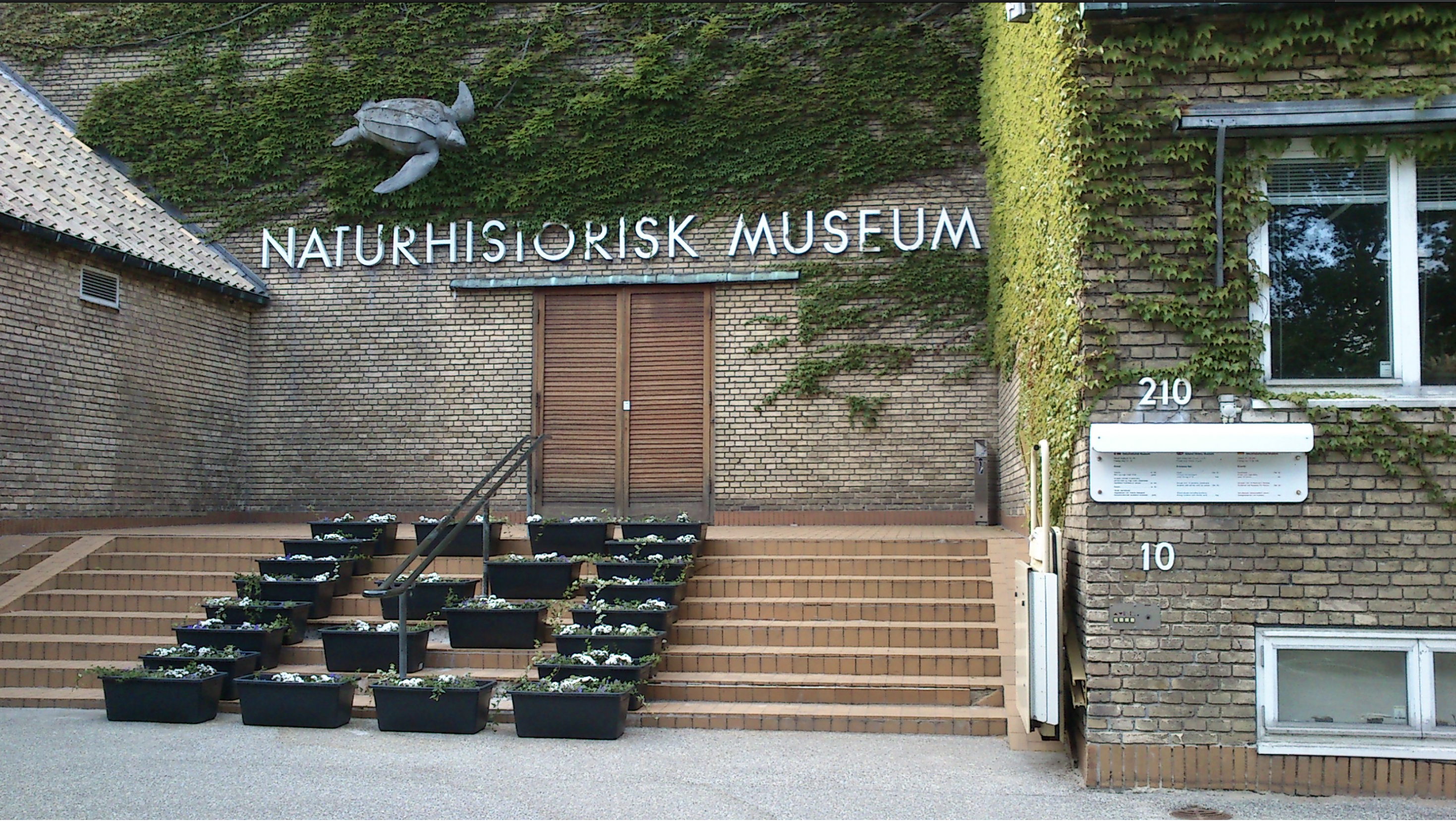 Museum background