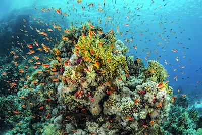 Ocean exhibition